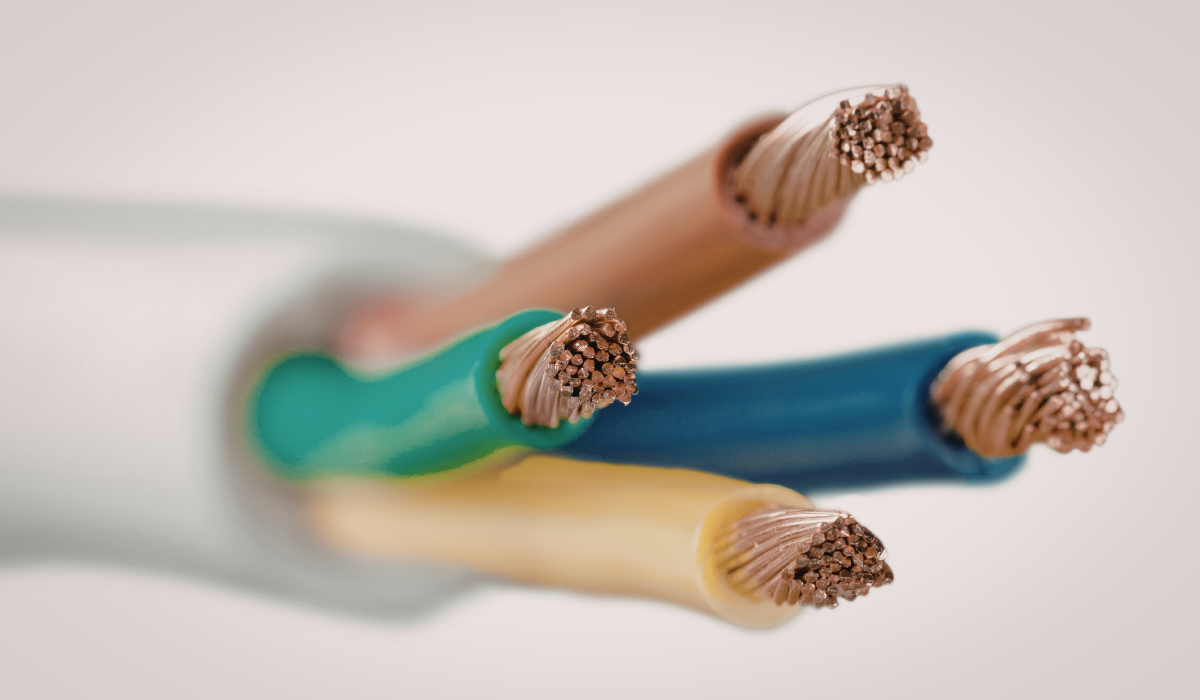 Industrial wire coils ready for dispatch